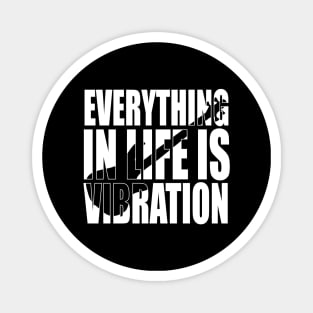 EVERYTHING IN LIFE IS VIBRATION funny bassist gift Magnet